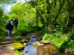 photo Un dimanche à Dournazac - Marché de printemps et vide-greniers