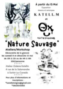 « Nature Sauvage » : Exposition d'estampes d'art