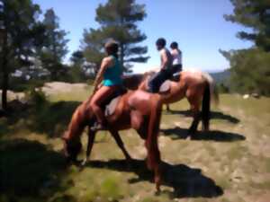 photo STAGE GALOP 3/4/5