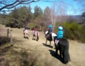 photo STAGE EQUESTRE : INITIATION DECOUVERTE