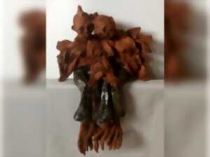 photo Sculptures, Des plumes d'étrangeté