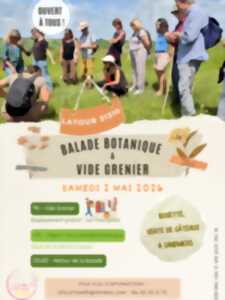 photo BALADE BOTANIQUE ET VIDE GRENIER