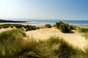 photo «On a marché sur la dune»