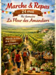 photo Château La Fleur Des Amandiers : Marche et repas