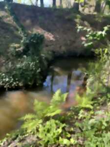 photo Balade contée le long du Bétey  