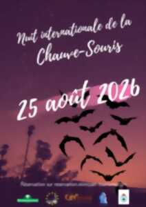 photo La Nuit Internationale de la Chauve Souris