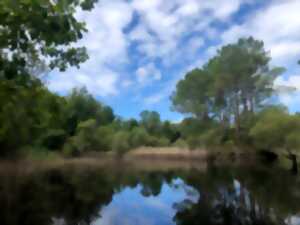 photo Balade nature : Printemps sur la lagune