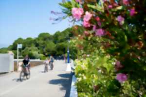 photo Découvrez Capbreton autrement en vélo électrique !