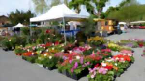 photo Fête des Fleurs et des plantes - 10ème édition