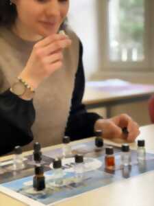 photo Flip au musée : Parfums de paysages