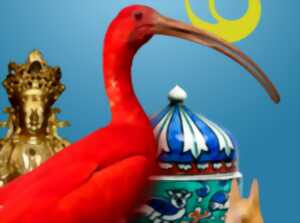 photo Visite commentée du Musée des Beaux-Arts et d'Histoire Naturelle