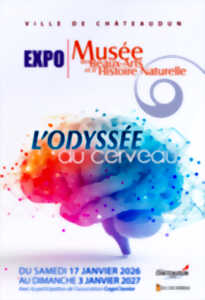 photo Nuit des Musées au Musée des Beaux-Arts et d'Histoire Naturelle