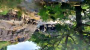 photo Sortie nature au Roc d'Enfer