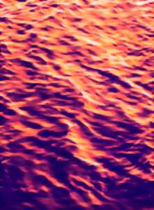 photo Exposition photo « L’eau n’est pas bleue »