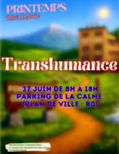 FÊTE DE LA TRANSHUMANCE