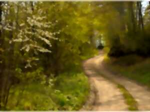 photo Journée randonnée pédestre