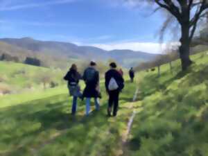 photo Marche du temps profond