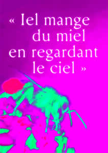 photo Iel mange du miel en regardant le ciel