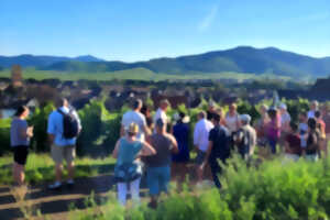 photo Apéro gourmand au domaine Tappe