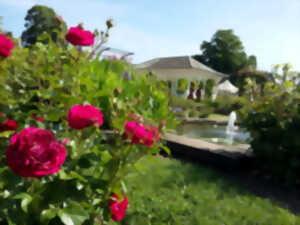 photo Cours de greffe