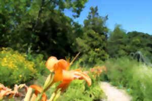 photo Promenade vespérale