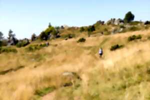 photo Randonnée historique : sur les traces de la première guerre mondiale dans le massif.
