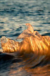 photo Exposition Francktastick