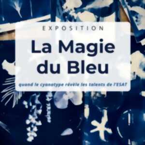 photo « LA MAGIE DU BLEU » EXPOSITION DE FANI KOSTI