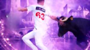 photo Concours de cocardes Master du Pesqué