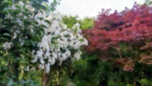 photo Jardin aux oiseaux (visites guidées et visites libres) - Rendez-vous aux jardins