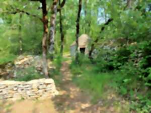 photo Milpas Sorgeais