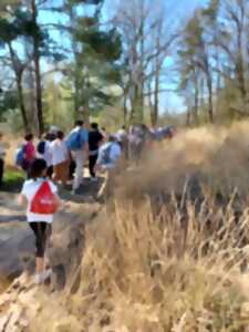 photo Milpas Sorgeais