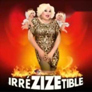 photo Zize - IrréZIZEtible (Tournée)