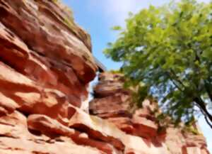 photo Journée Portes Ouvertes au Château du Haut-Barr