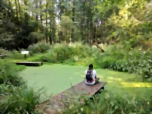 photo Sortie nature : découverte de milieux humides