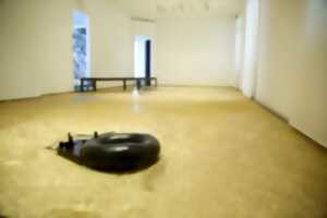 photo Exposition : Persistances - Hassan Darsi