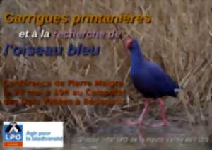 photo LPO PRÉSENTATION DE DEUX FILMS AVEC PIERRE MAIGRE