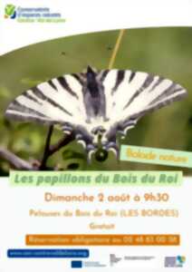 Les papillons du Bois du Roi