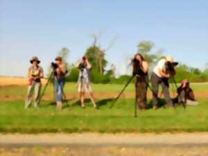 photo Sortie nature : Journée de la prospection Busards