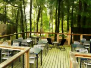 photo Concert de l'été 