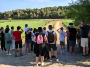 photo L’ASCENSION VIGNERONNE - CHÂTEAU LA NÉGLY