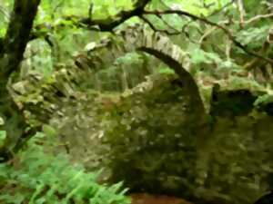 photo LA TOURNÉE INSOLITE - VISITES GUIDÉES MUSICALES