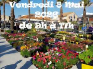 photo FÊTE DES FLEURS