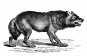 photo Visite famille 