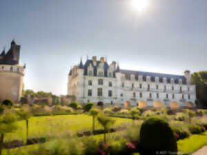 photo Dégustation œnologique et dinatoire au Château