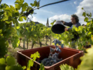 photo Visite de chai insolite : Le Chai d'Oeuvres