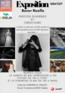 photo EXPOSITION BOVER NOELLE - PHOTOS DIVERSES ET CRÉATIONS - OSSÉJA