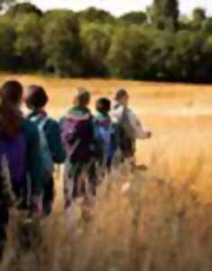 photo Sortie nature à Courcelles-les-Lens