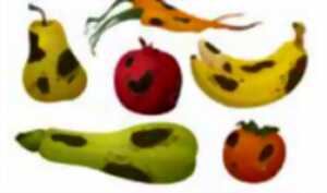 photo Enquête nature 