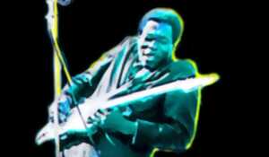 photo Festival ‘Bluesin’Aout’ à Longvilliers